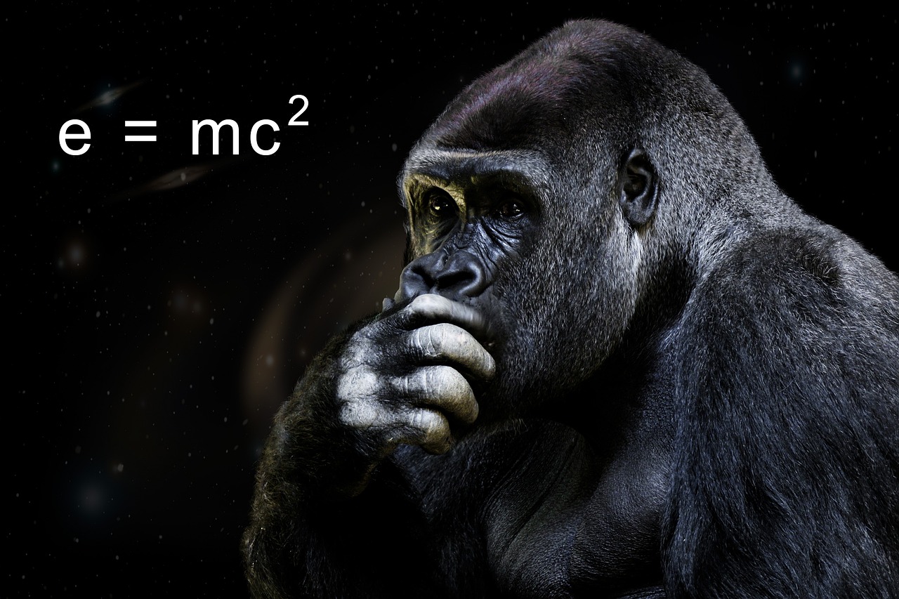 Einstein: The Genius of Physics